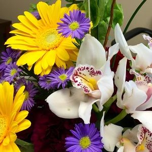 Meet your Posher, Jeff